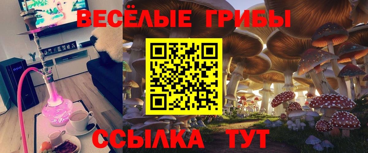 Чехов  Галлюциногенные грибы мицелий  Вход с VPN 
