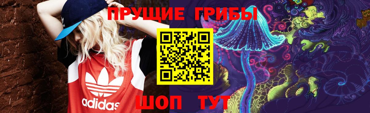 Псилоцибиновые грибы Cubensis Чехов